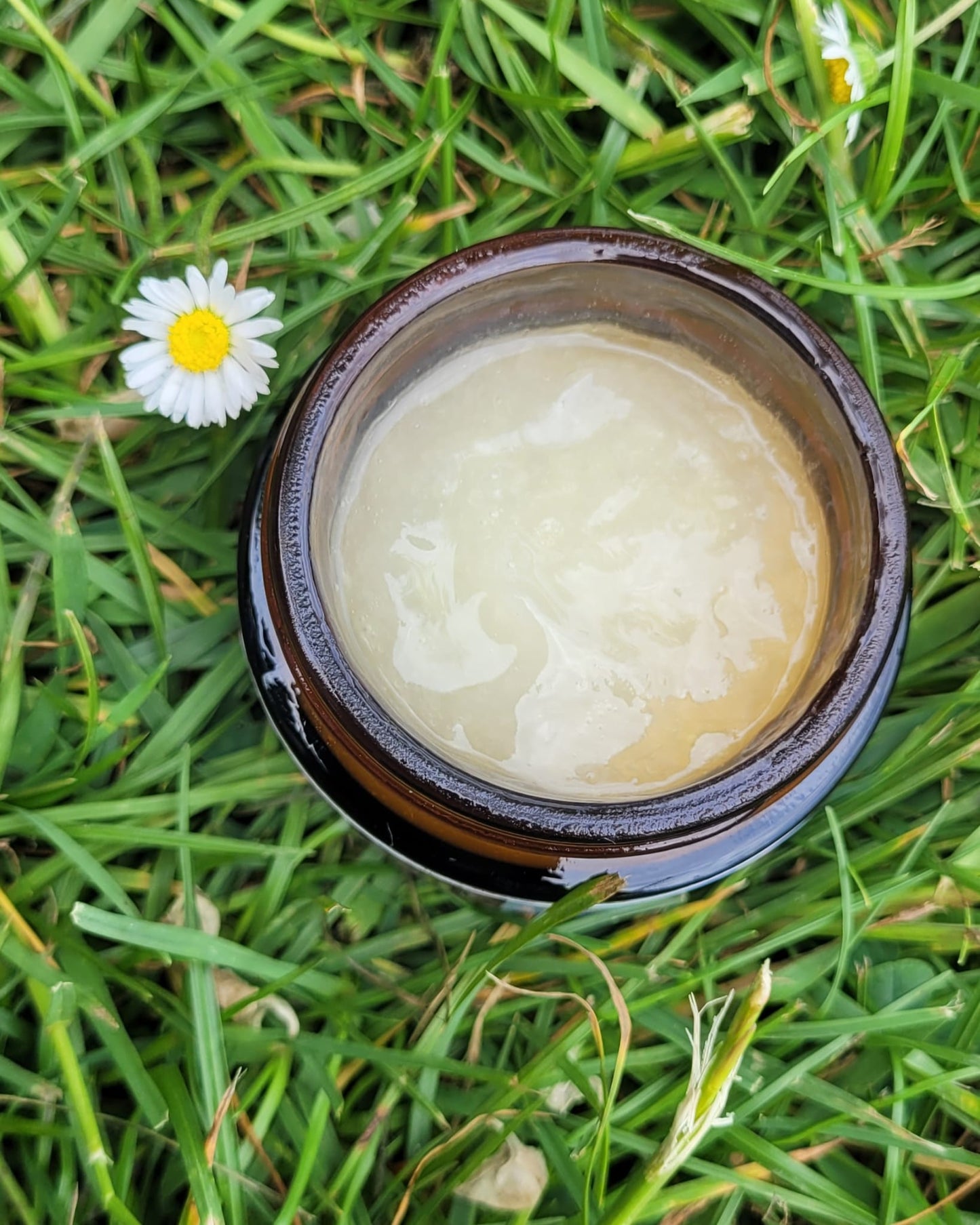 Rose Moisturiser with Aloe Vera for normal to dry skin